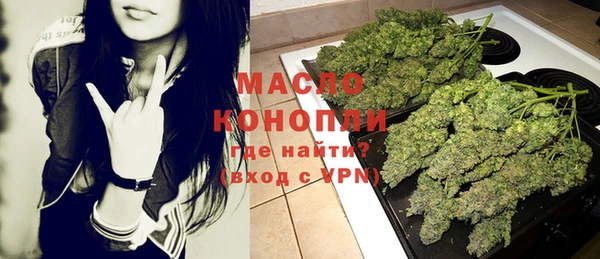 apvp Бородино